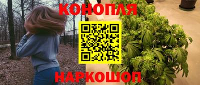 сатива Кунгур