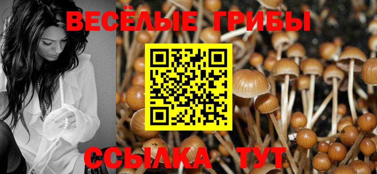 Псилоцибиновые грибы Magic Shrooms  Вход с VPN  Елабуга 