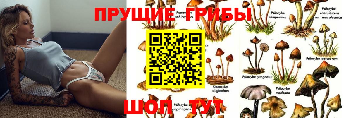 Псилоцибиновые грибы мицелий Елабуга